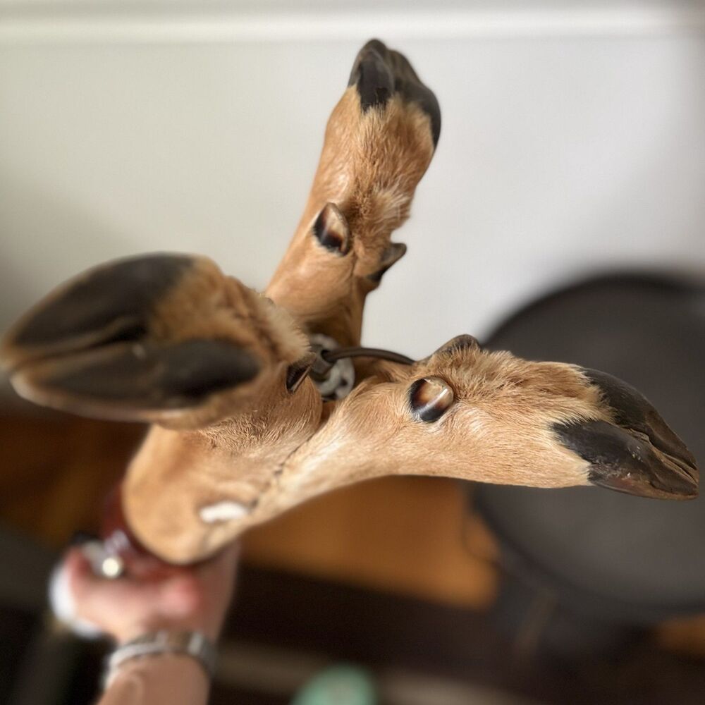 Vintage Taxidermy Deer Hoof Lamp 3 Leg Tripod Base Rustic Cabin Lodge Decor Work - Picture 9 of 13